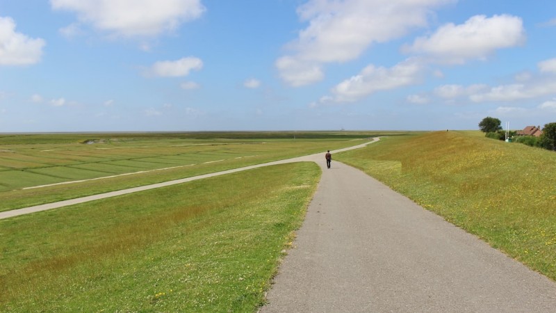 person walking on road - Vast, open landscape in the Schleswig-Holstein National Park Wattenmeer. A man walks along a dirt road. Northern Germany, Europe., tags: unterwegs kaltenkirchen: wanderabenteuer - unsplash