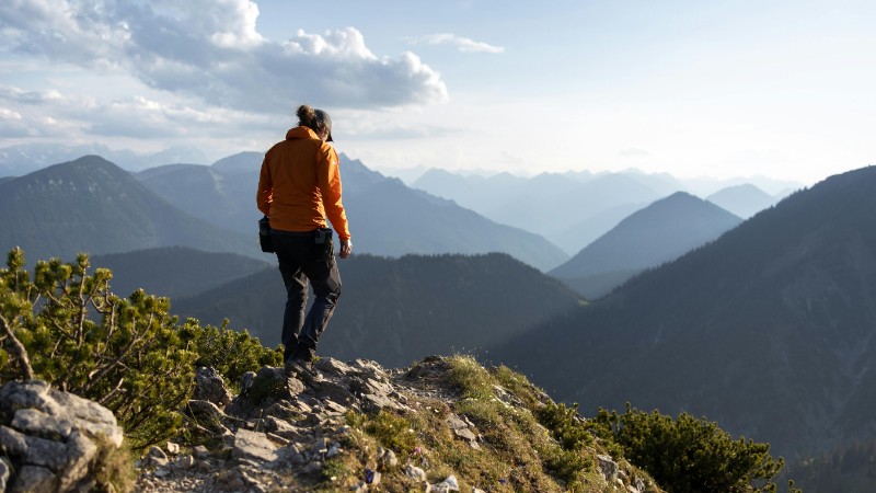 Free stock photo of europe, evening, forest, tags: und - pexel