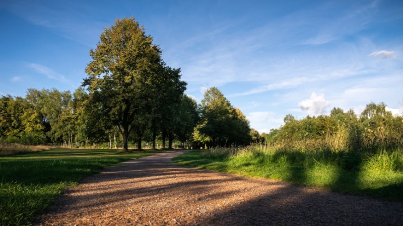 photo w 0, tags: kaltenkirchen und - unsplash
