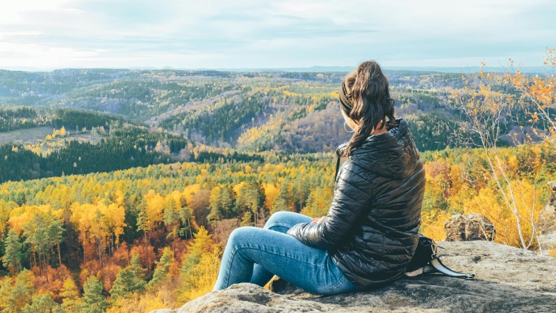 Free stock photo of 4k forest, 4k nature, alone on the mountain, tags: ein - pexel
