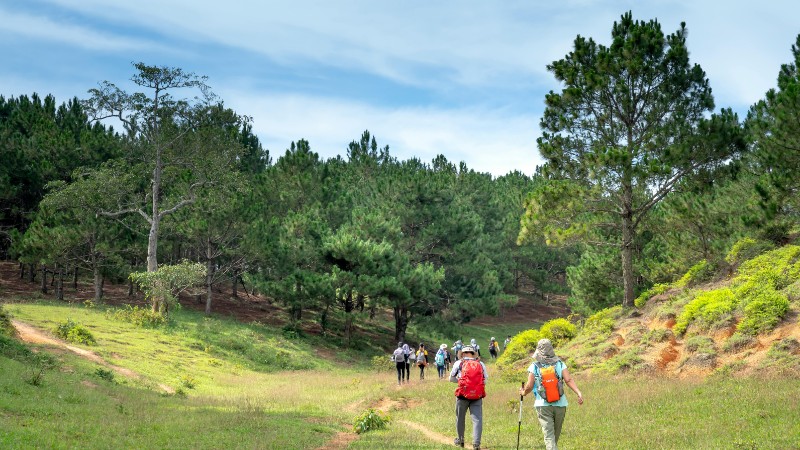 A group of hikers enjoying a serene walk through a lush green forest trail under a clear blue sky., tags: ruhige die - pexel